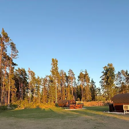 Log Off Maennivaelja Forest